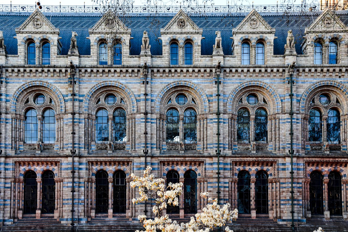 London’s Weirdest Attractions You Won’t Find in Guidebooks